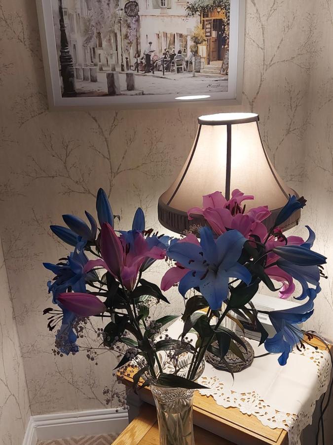 Blackrock Carole Ville Guesthouse 코크 외부 사진