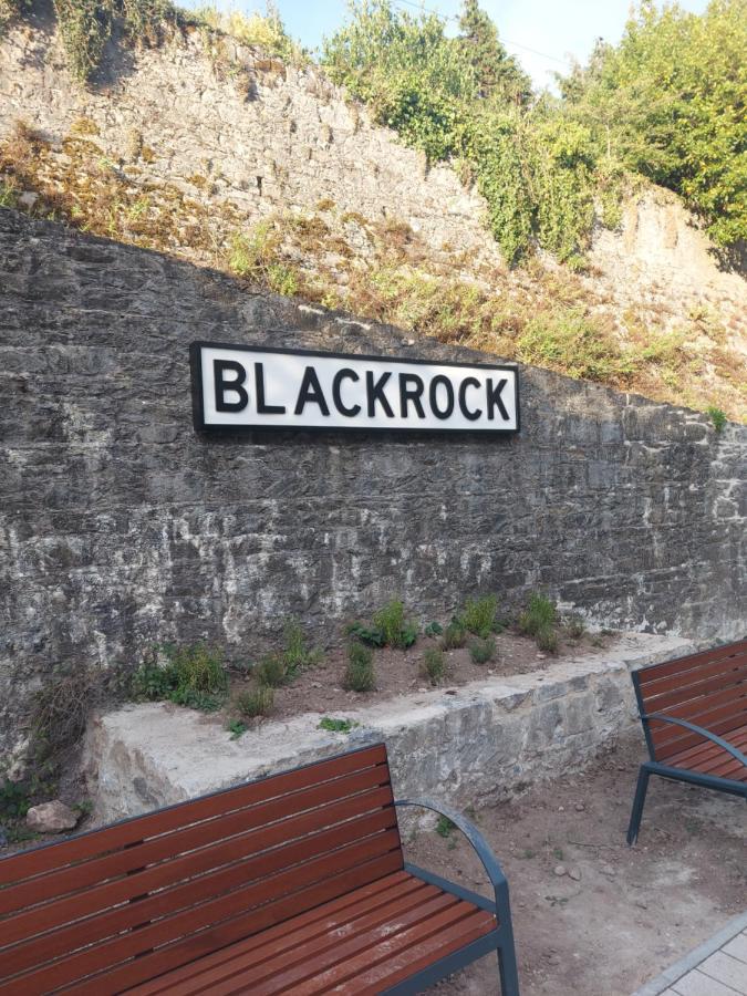 Blackrock Carole Ville Guesthouse 코크 외부 사진