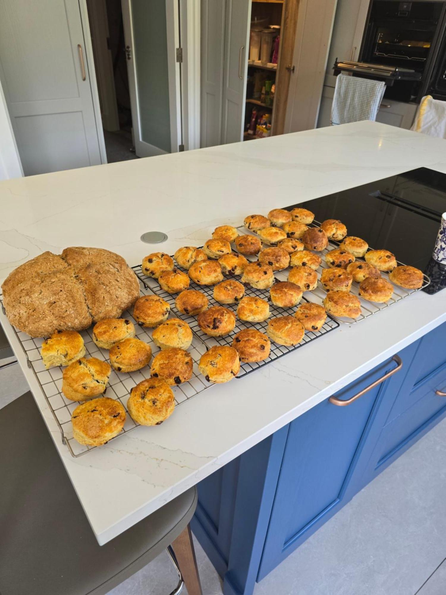 Blackrock Carole Ville Guesthouse 코크 외부 사진